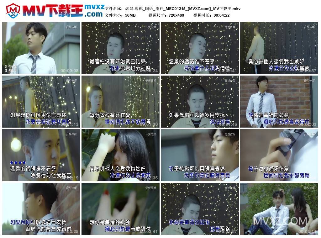 老黑-想你_国语_流行_MEC01215